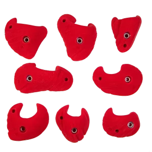 Set Shell M - 8 presas - imagen principal